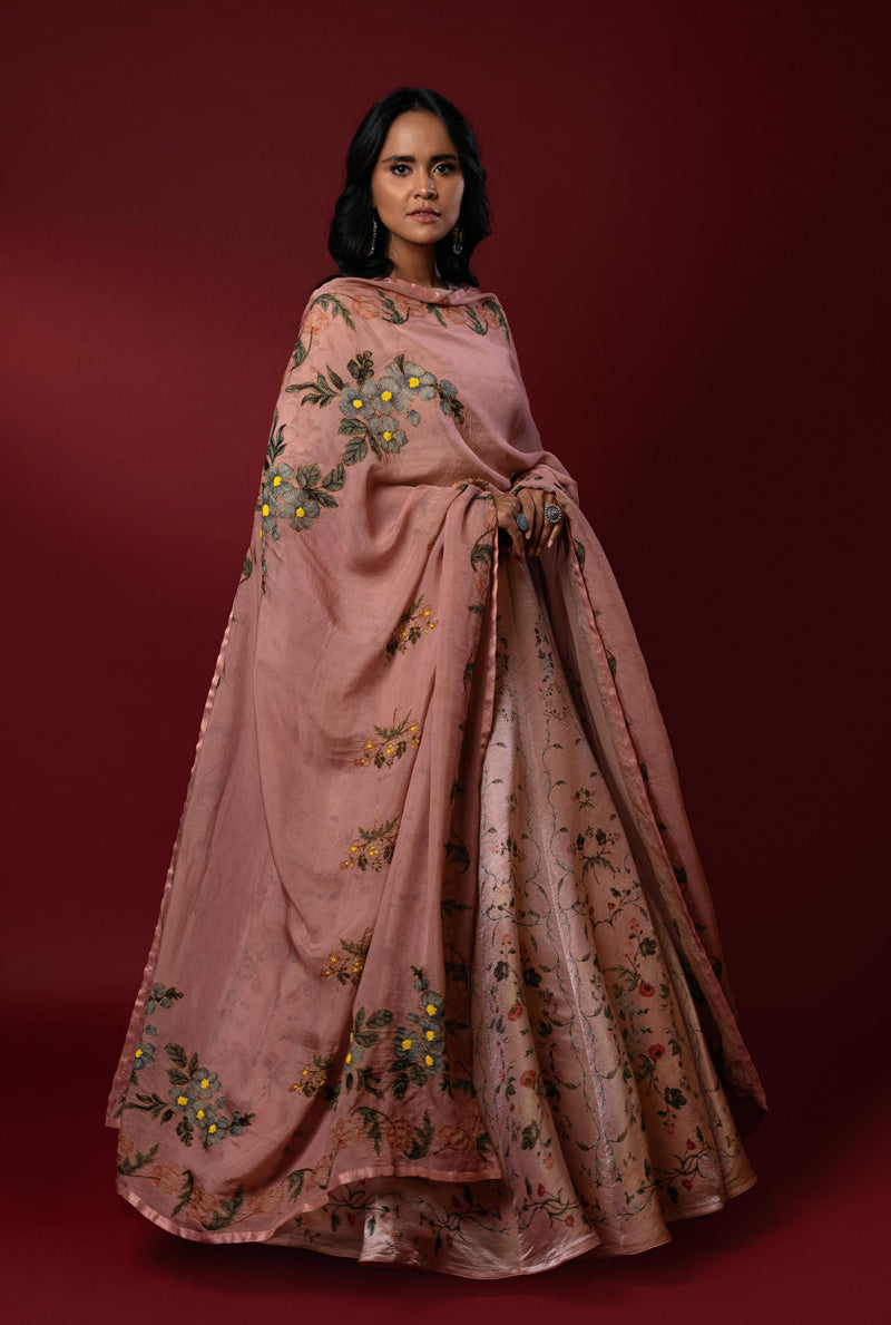 Noor Blush Lehenga