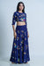 Blue Sharara With Crop Top And Dupatta - Sapphire Hydrangea Sharara set